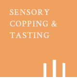 ������Ŀ���̹���